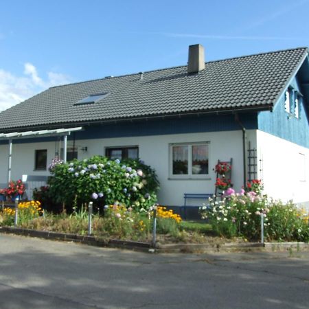 Ferienwohnung Haus Edeltraud Im Suedschwarzwald, Grosse, Helle, Ruhige Souterrain-Whg, Hunde Geeignet, Mit 2 Fahrraedern, 3 Baeckereien Mit Fruehstueck, 2 Lebensmittel-, 1 Italien-Pastalaeden, Kontakt Peter Heubueschl Aus Loerrach Rheinfelden  Kültér fotó